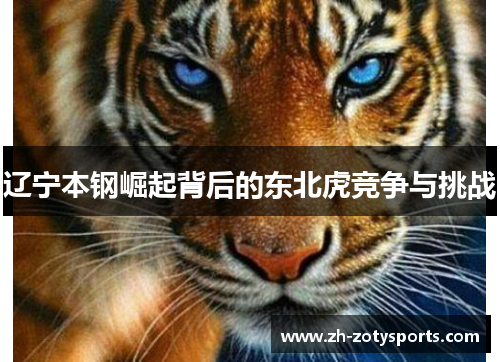 辽宁本钢崛起背后的东北虎竞争与挑战